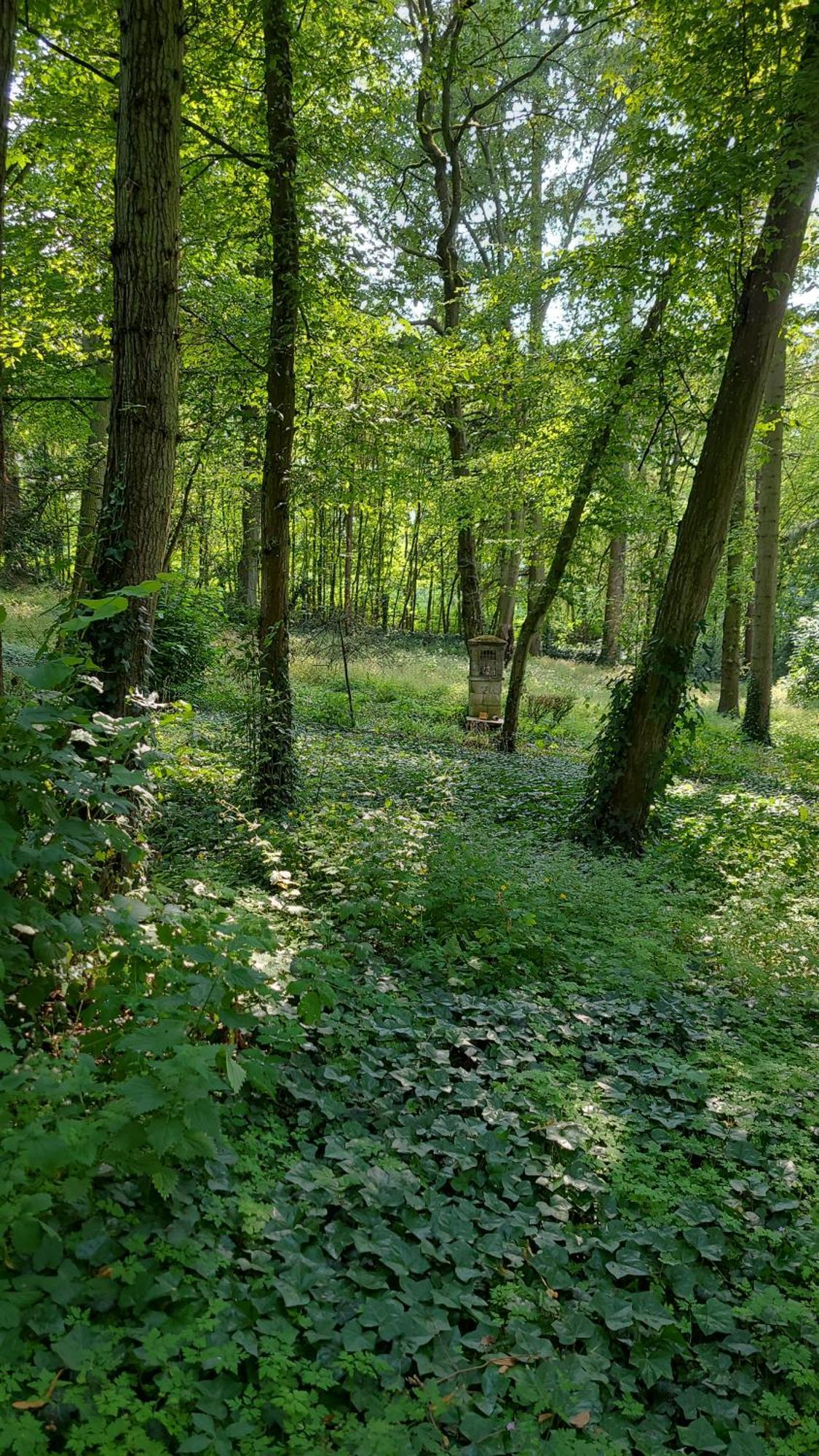 Le Manoir Paradi Presles-et-Thierny Exteriör bild